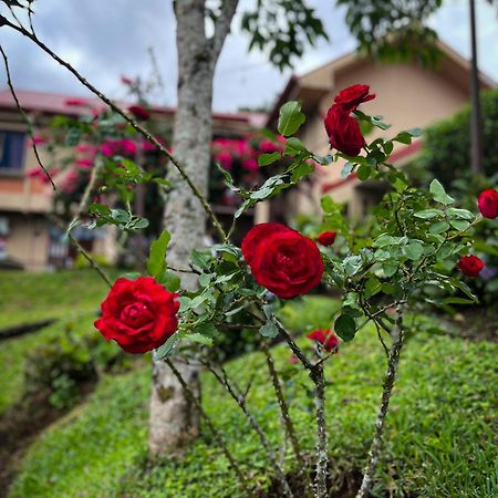 Legacy Boutique Hotel Quesada  Kültér fotó